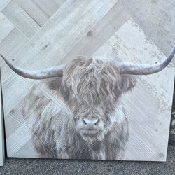 Bull Canvas Picture