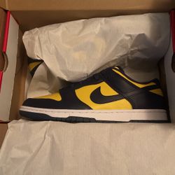 Nike Michigan Dunk