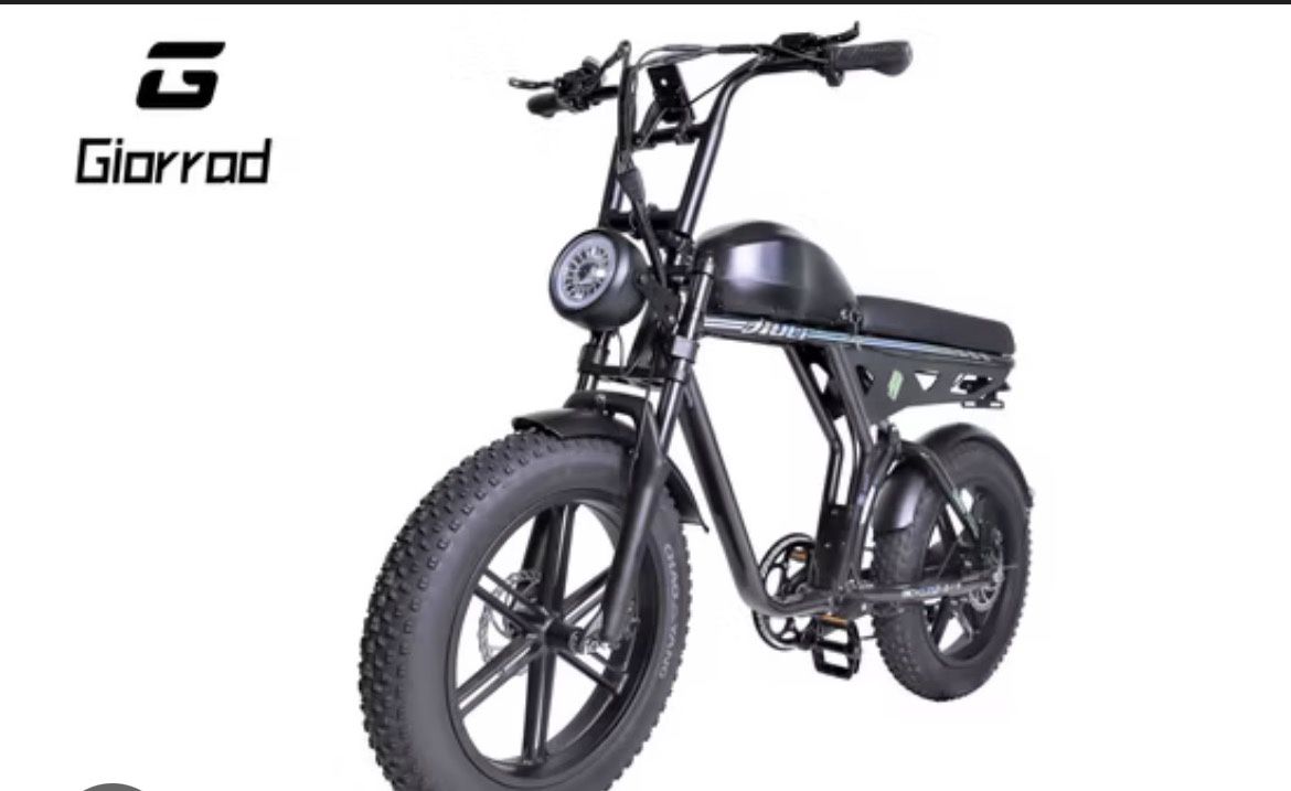 electric bike 