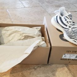 Adidas Yeezy Boost 350 V2
