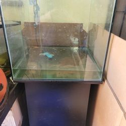 Fish Tank With Small Fish And Stand