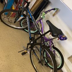 2 Bikes 