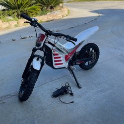 Dommano Racing Ebike