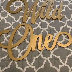 Wild One 