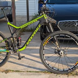 2016 cannondale trigger carbon team (Lefty)