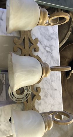 Bathroom vanity light