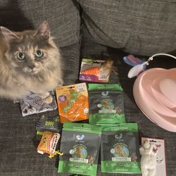 Cat stuff