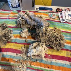 Dried Live Rock 