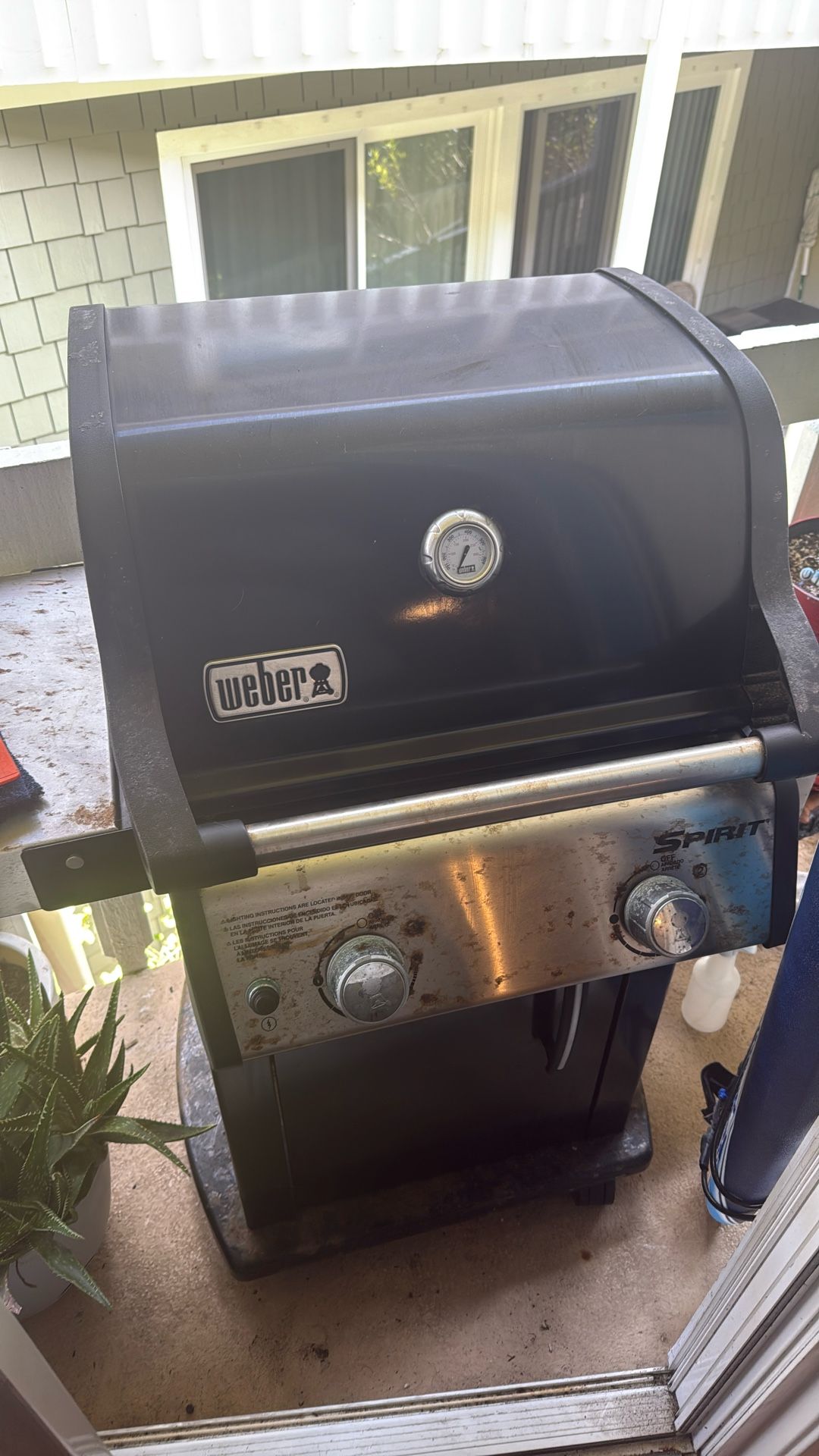 Weber Grill BBQ