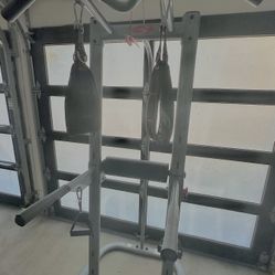 Bowflex Body Tower / Power Tower
