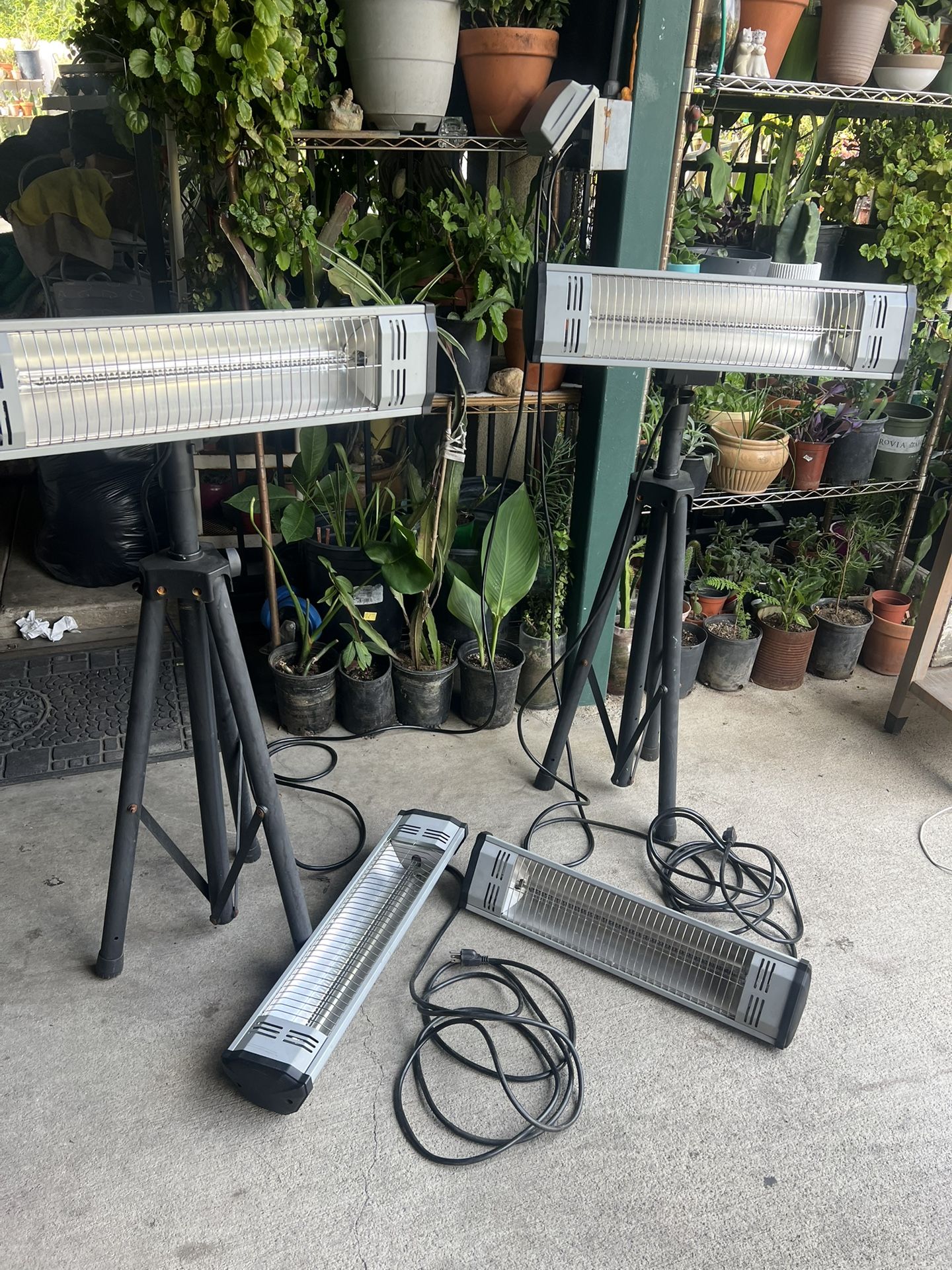 Heathers Set 250 Dlrs - Main Image