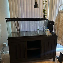 Aquarium items (prices in description)
