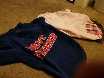 Dog shirts