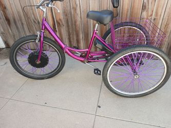 1000watt 24inch adult tricycle