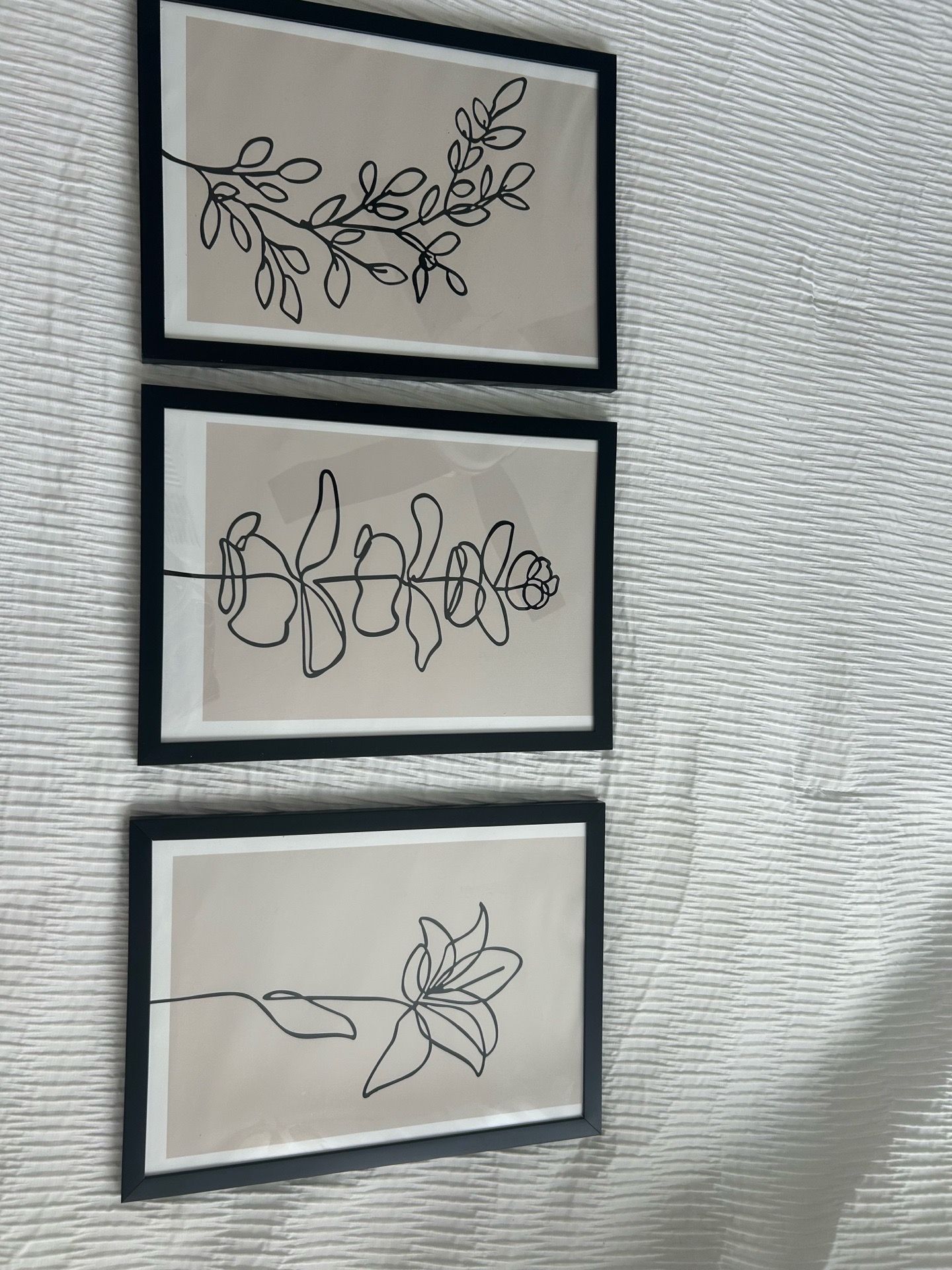 Minamalist Framed Flower Pictures
