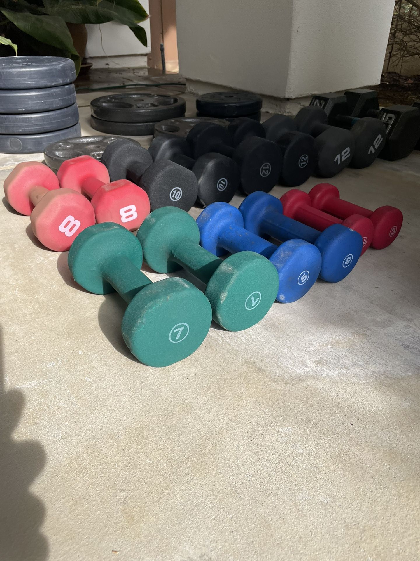 Fit For 2025! Handheld Weights