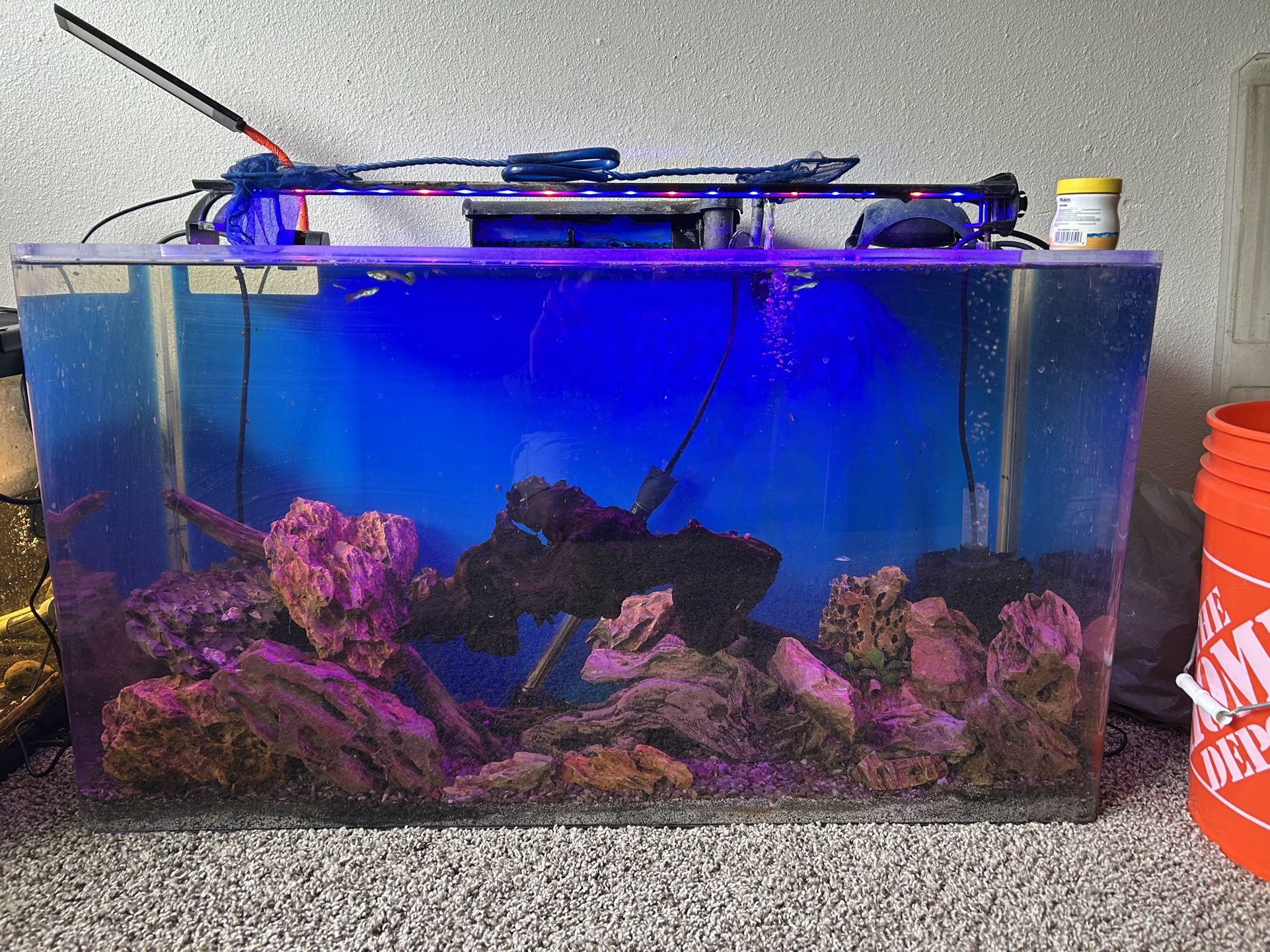 Fish Tank