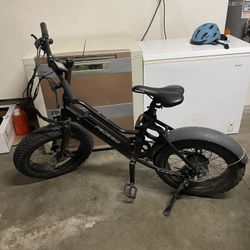 ebike