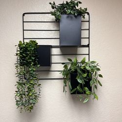 Beautiful Wall Planter