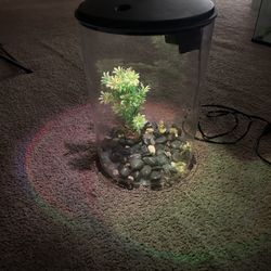 Small Fish Tank