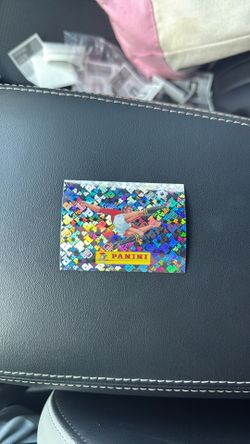 Panini World Cup stickers