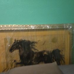 Nice Frame Black Horse 