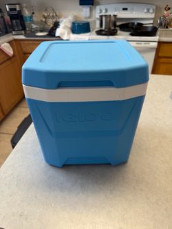 Small Personal IGLOO hard shell Cooler 12x10”