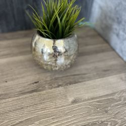 Mirrored Bowl With Faux Decorative Plant 