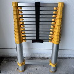 15 Foot Collapsible Ladder