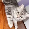Ilmira