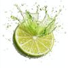 freshlime
