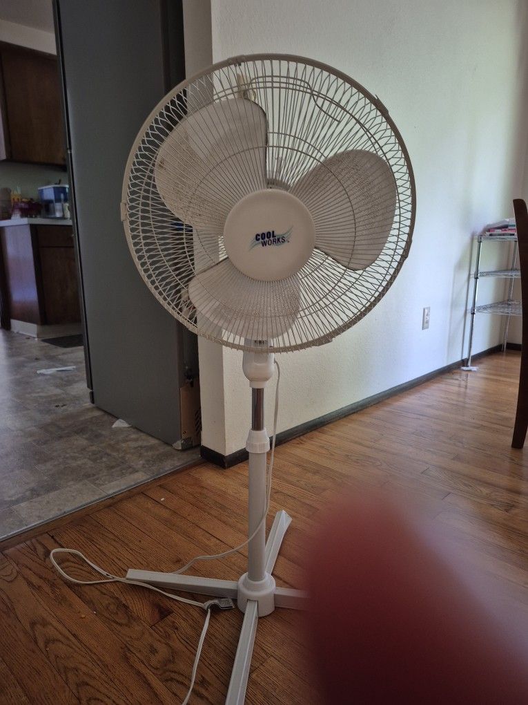 1 White Fans