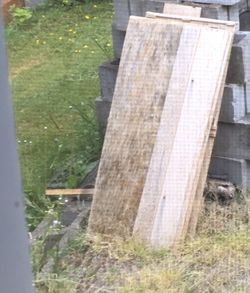 Various pieces of scrap wood and branches.