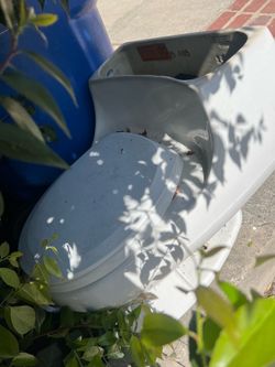 Toto toilet
