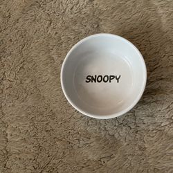 Peanuts Hallmark Ceramic Snoopy Pet Dish