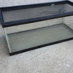 Pecera para reptiles