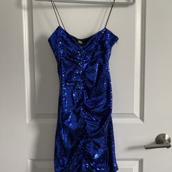 Zara Sequin Dress