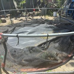 Brinca Gratis  No Tiene Protecciónl Alos  Lados