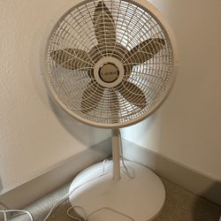Standing Fan
