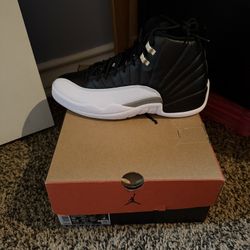 Jordan Retro 12 Size 10 Brand New