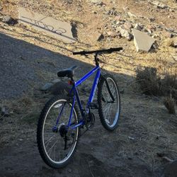 Kent Mountain Bike