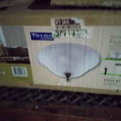 Flush Mount Ceiling Light