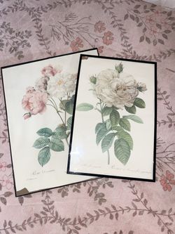 1991 bombay company botanical print Pierre-Joseph Redouté