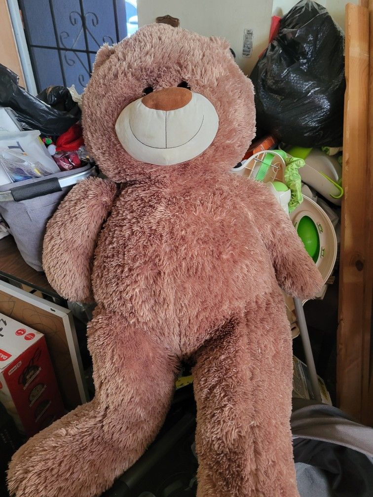 Adult Size Bear