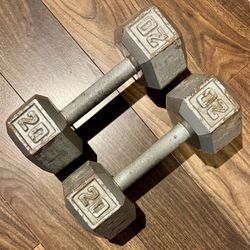 Pair Of 20lb Hex Steel Dumbbell Weights