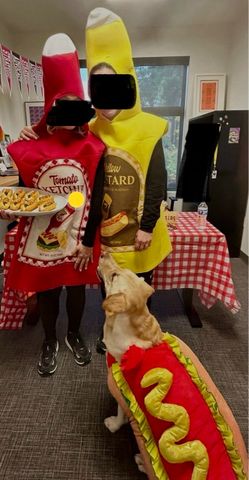 Ketchup, mustard, and dog hotdog costume