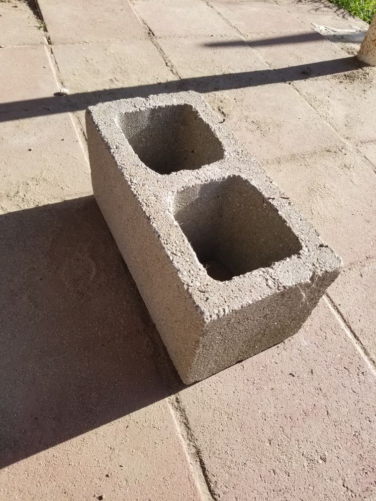 Large Bricks