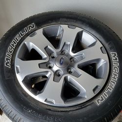 FX4 Ford F-150 18 inch Wheels Rims