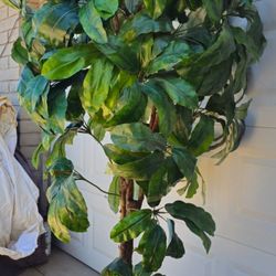 ** Beatiful 80" Tall Artificial Tree With Ceramic Pot**