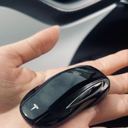 Tesla Model X S keyfob 